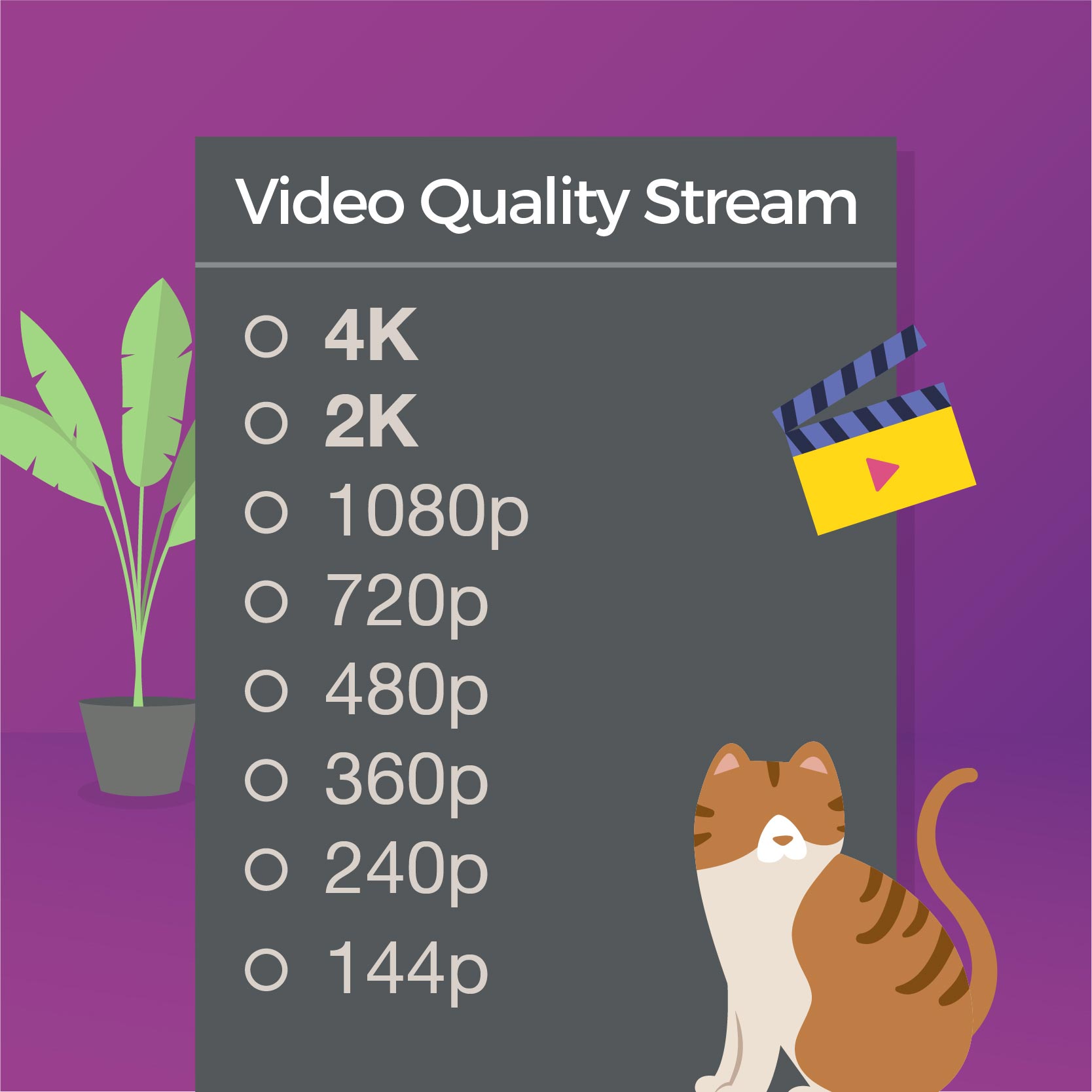 What video quality stream normally?